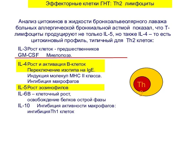 Эффекторные клетки ГНТ: Th2 лимфоциты Анализ цитокинов в жидкости бронхоальвеолярного