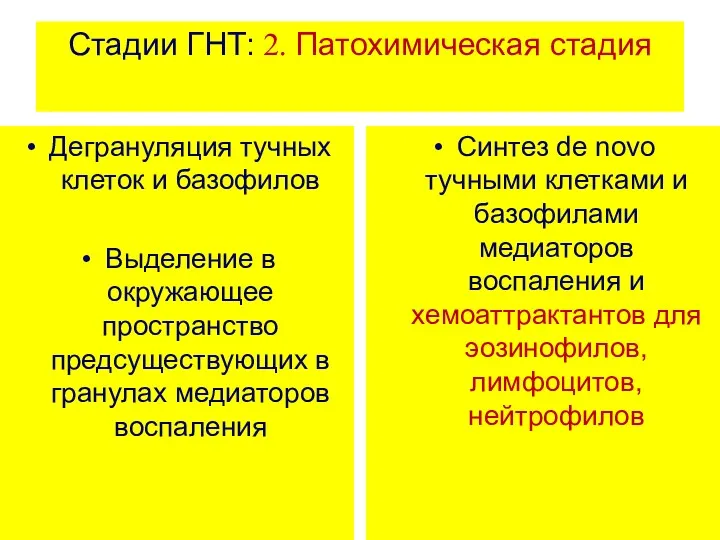 Стадии ГНТ: 2. Патохимическая стадия Дегрануляция тучных клеток и базофилов