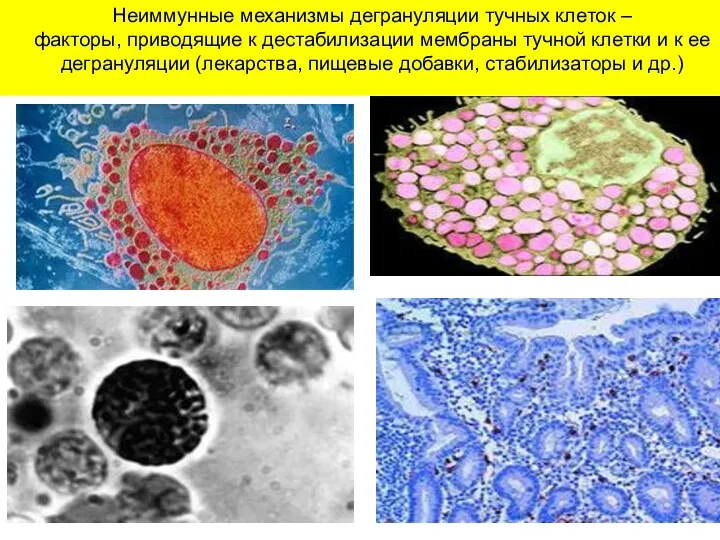 Неиммунные механизмы дегрануляции тучных клеток – факторы, приводящие к дестабилизации