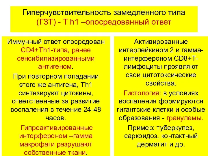 Гиперчувствительность замедленного типа (ГЗТ) - T h1 –опосредованный ответ Иммунный