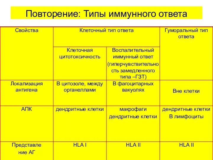 Повторение: Типы иммунного ответа