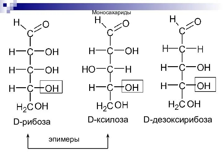 D-рибоза D-ксилоза D-дезоксирибоза эпимеры Н Моносахариды
