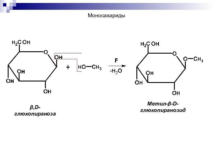β,D-глюкопираноза Метил-β-D-глюкопиранозид Моносахариды
