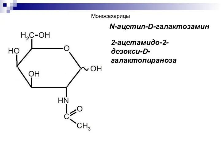 N-ацетил-D-галактозамин 2-ацетамидо-2-дезокси-D-галактопираноза Моносахариды