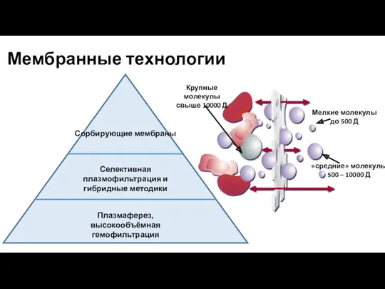 Мембранные технологии Сорбирующие мембраны Селективная плазмофильтрация и гибридные методики Плазмаферез,