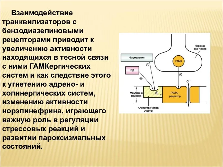 Взаимодействие транквилизаторов с бензодиазепиновыми рецепторами приводит к увеличению активности находящихся