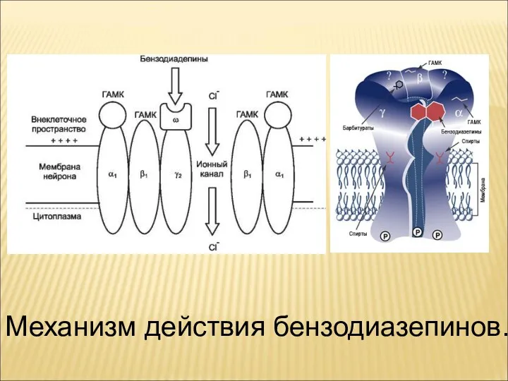 Механизм действия бензодиазепинов.