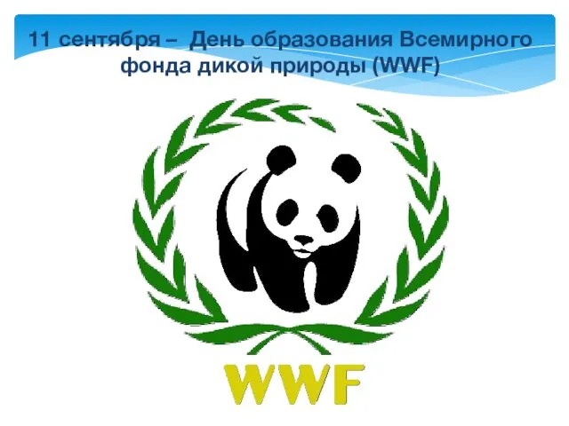 Всемирный фонд дикой природы (WWF)