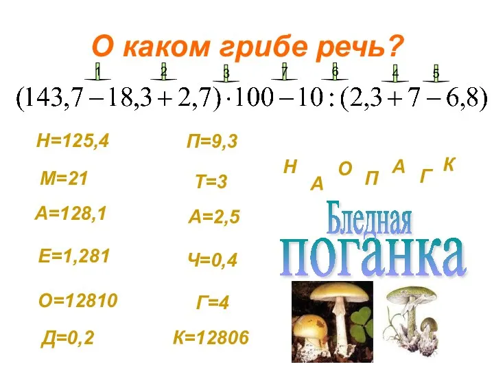 О каком грибе речь? Н=125,4 М=21 А=128,1 Е=1,281 О=12810 Д=0,2