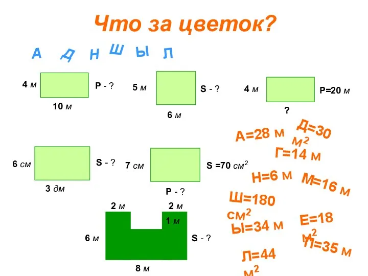 Что за цветок? 4 м 10 м Р - ?