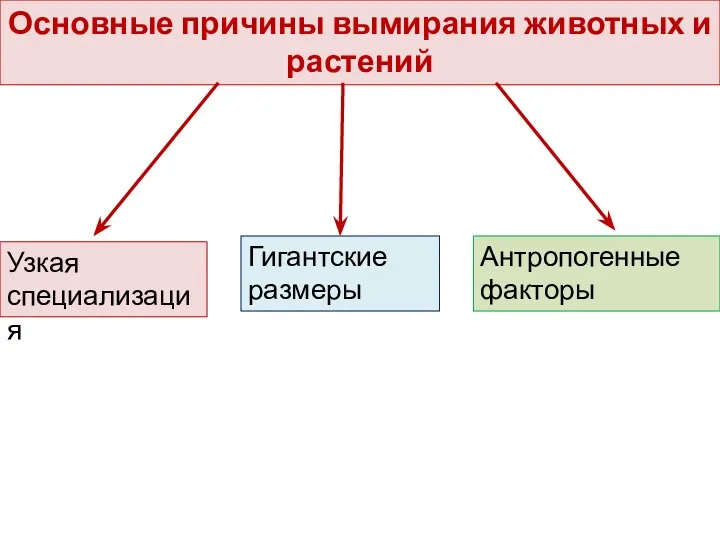 Основные причины вымирания животных и растений Узкая специализация Гигантские размеры Антропогенные факторы