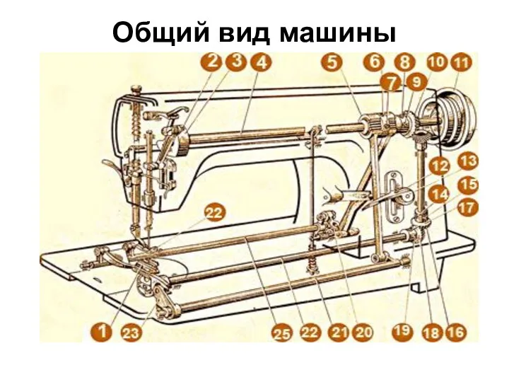 Общий вид машины