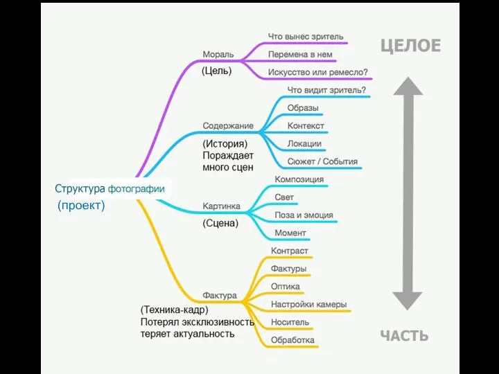 (проект)