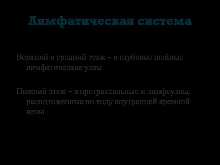 Лимфатическая система Верхний и средний этаж – в глубокие шейные лимфатические узлы Нижний