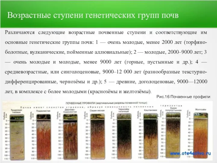 Различаются следующие возрастные почвенные ступени и соответствующие им основные генетические