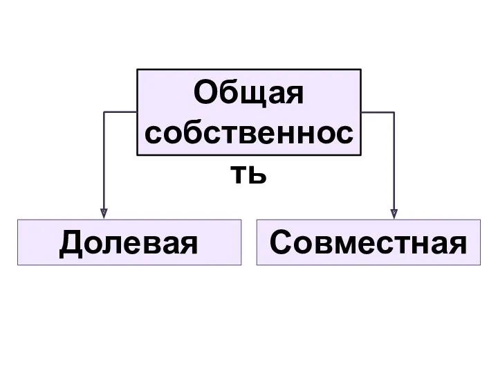 Общая собственность Долевая Совместная