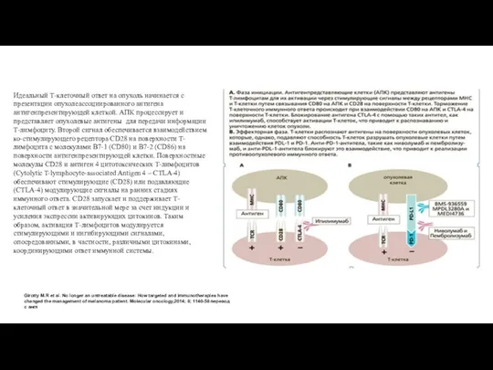 Girotty M.R et al. No longer an untreatable disease: How