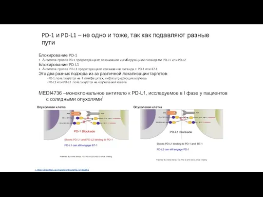 PD-1 и PD-L1 – не одно и тоже, так как