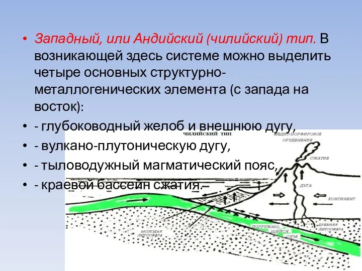 Западный, или Андийский (чилийский) тип. В возникающей здесь системе можно