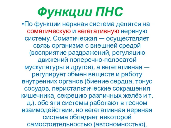 Функции ПНС По функции нервная система делится на соматическую и