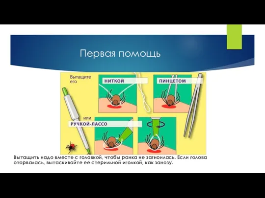 Первая помощь Вытащить надо вместе с головкой, чтобы ранка не