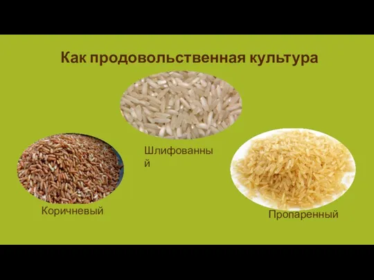 Как продовольственная культура Шлифованный Пропаренный Коричневый