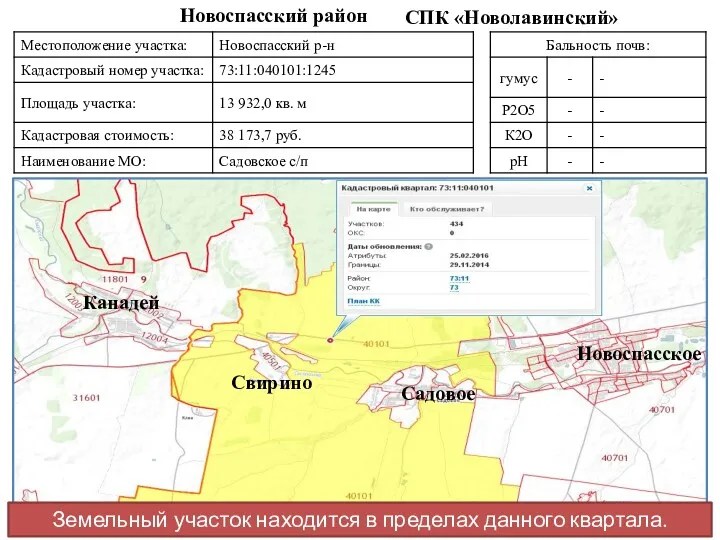 СПК «Новолавинский» Новоспасский район Садовое Свирино Канадей Новоспасское Земельный участок находится в пределах данного квартала.