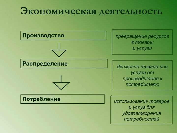 Экономическая деятельность Производство Распределение Потребление движение товара или услуги от