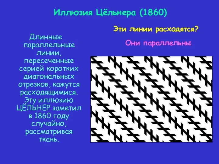 Длинные параллельные линии, пересеченные серией коротких диагональных отрезков, кажутся расходящимися. Эту иллюзию ЦЁЛЬНЕР