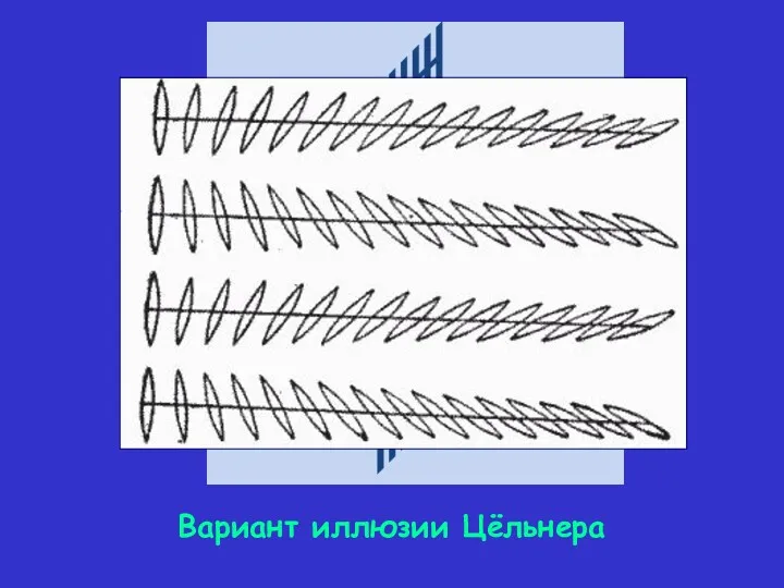 Вариант иллюзии Цёльнера