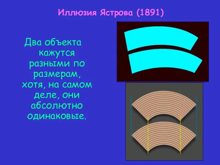 Два объекта кажутся разными по размерам, хотя, на самом деле, они абсолютно одинаковые. Иллюзия Ястрова (1891)