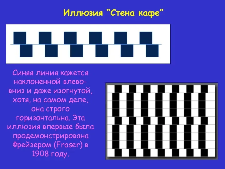 Синяя линия кажется наклоненной влево-вниз и даже изогнутой,хотя, на самом деле, она строго