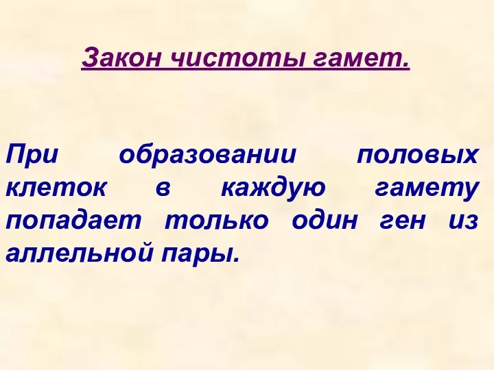 Закон чистоты гамет. При образовании половых клеток в каждую гамету