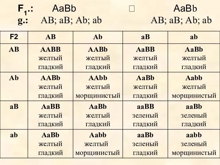 F1.: АаВb ? АаВb g.: АВ; аВ; Аb; ab АВ; аВ; Аb; ab