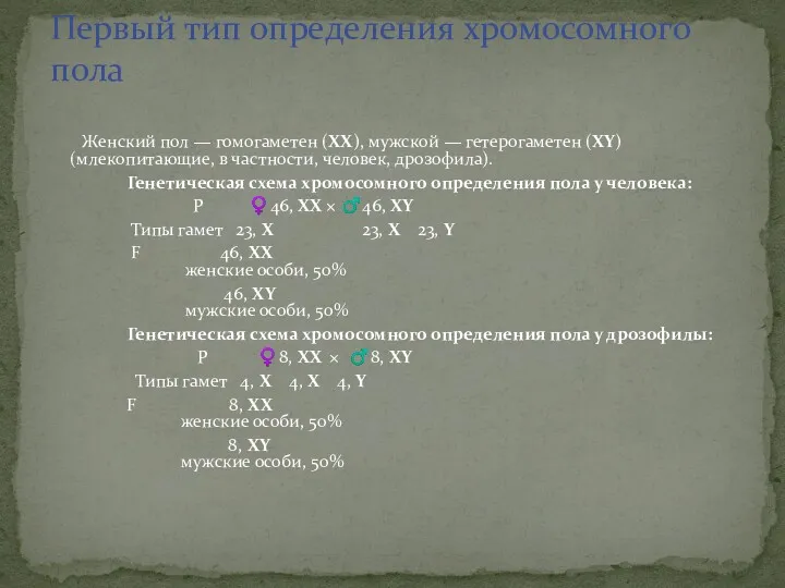 Женский пол — гомогаметен (ХХ), мужской — гетерогаметен (ХY) (млекопитающие,