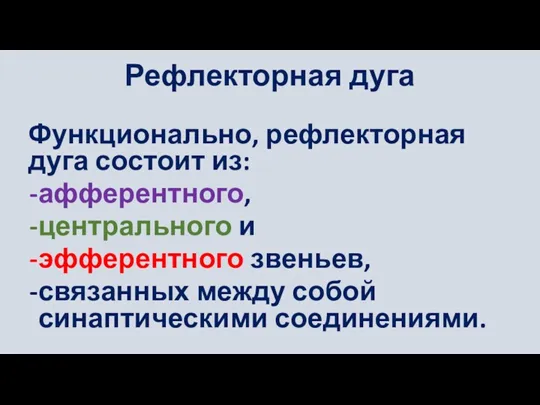 Рефлекторная дуга Функционально, рефлекторная дуга состоит из: афферентного, центрального и