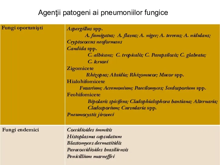 Agenţii patogeni ai pneumoniilor fungice