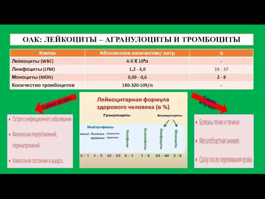 ОАК: ЛЕЙКОЦИТЫ – АГРАНУЛОЦИТЫ И ТРОМБОЦИТЫ Сдвиг влево Сдвиг вправо