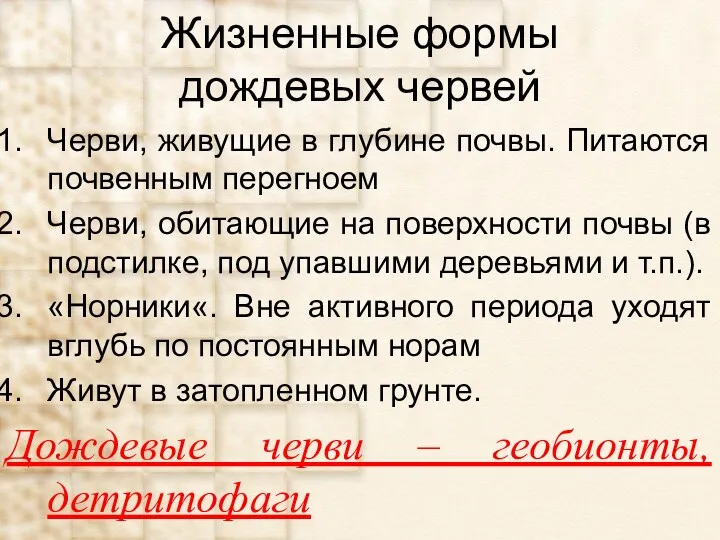 Жизненные формы дождевых червей Черви, живущие в глубине почвы. Питаются