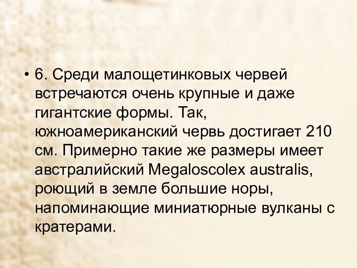 6. Среди малощетинковых червей встречаются очень крупные и даже гигантские