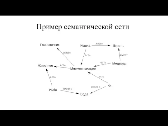 Пример семантической сети