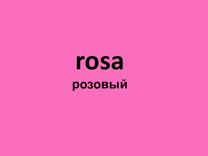 rosa розовый