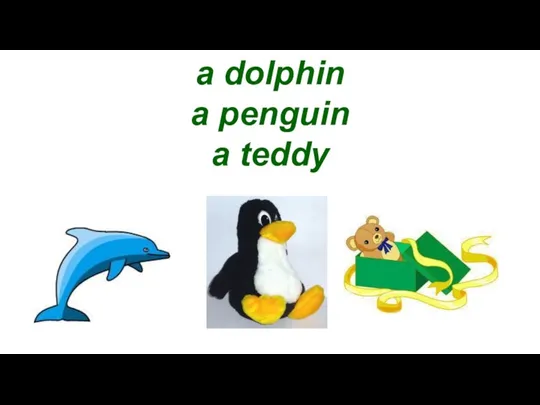 a dolphin a penguin a teddy