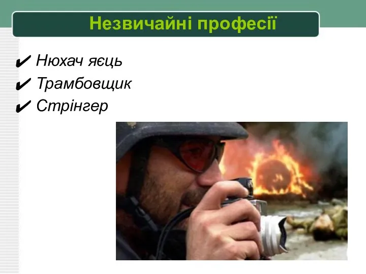 Нюхач яєць Трамбовщик Стрінгер Незвичайні професії