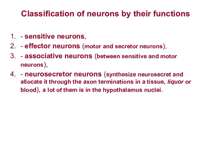 Classification of neurons by their functions - sensitive neurons, -