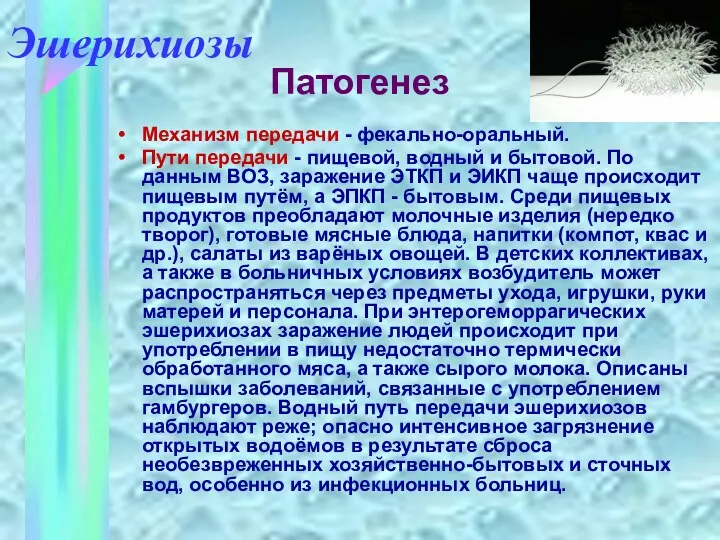 Механизм передачи - фекально-оральный. Пути передачи - пищевой, водный и бытовой. По данным