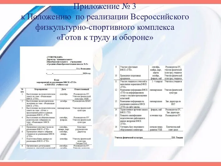 Приложение № 3 к Положению по реализации Всероссийского физкультурно-спортивного комплекса «Готов к труду и обороне»