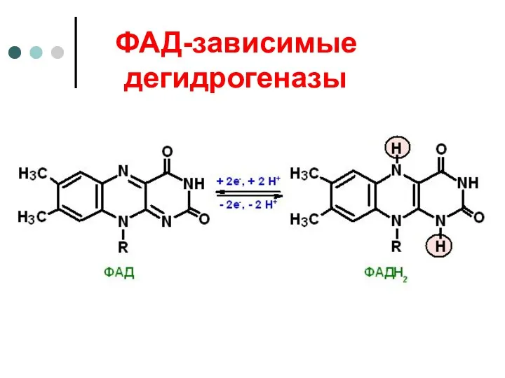 ФАД-зависимые дегидрогеназы