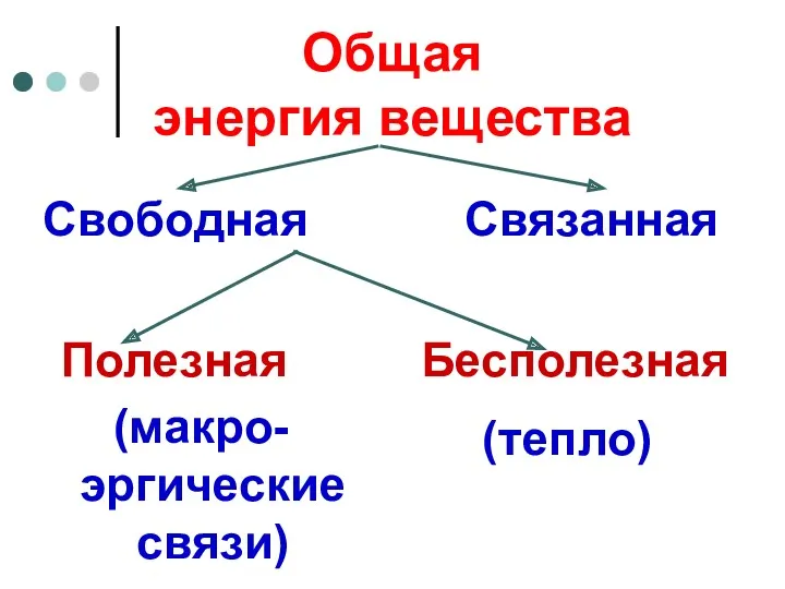 Общая энергия вещества Свободная Полезная (макро-эргические связи) Связанная Бесполезная (тепло)