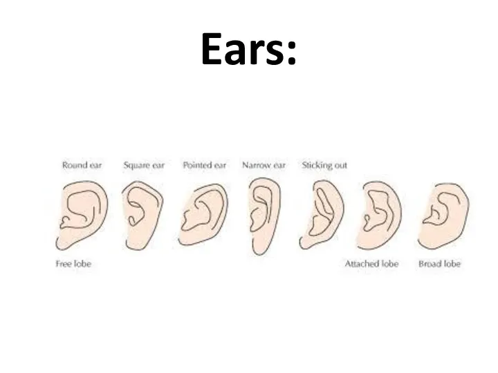 Ears: